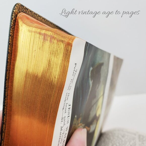 Holy Bible New Catholic Edition Illustrated Vintage 1954 Gold Gilded Leather - Picture 7 of 10